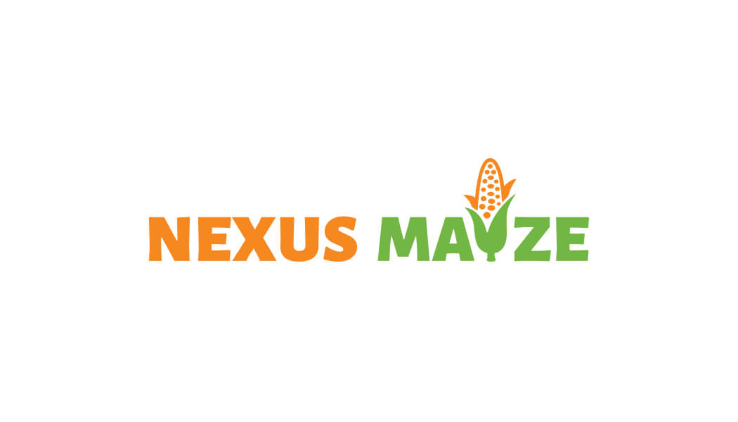 Nexus Maize